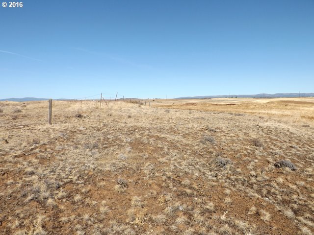 Dightons Road Goldendale, WA 98620 - Photo 5 of 15 Gallery Image 5