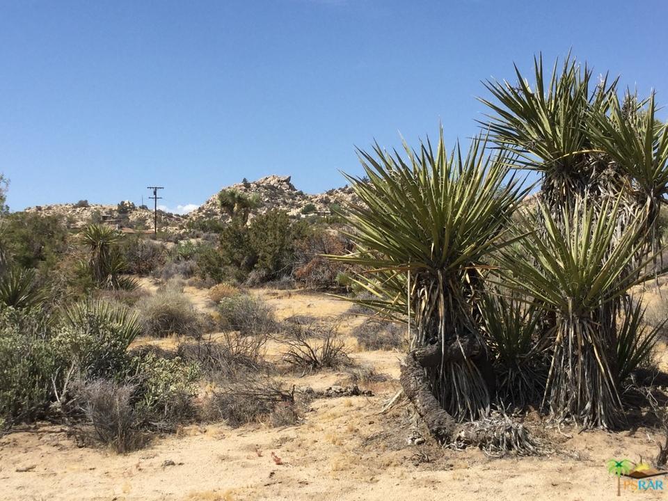 9999 Cobalt Road Yucca Valley, CA 92284 - Photo 12 of 16