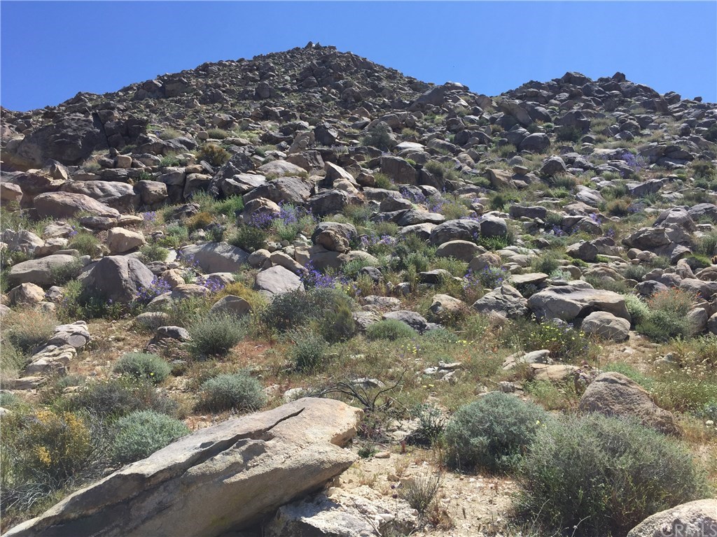 8140 Skyline Drive Joshua Tree, CA 92252 - Photo 24 of 27 This view to the east is protected in the boulders of unspoiled Mojave Desert