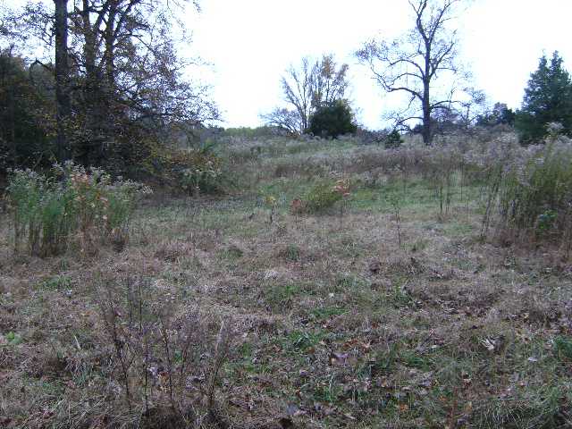 0 Barnett Hall Road Covington, TN 38019 - Photo 1 of 9 Gallery Image 1