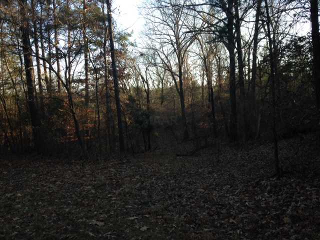 3 Chewalla Lake Road Holly Springs, MS 38635 - Photo 1 of 3 Gallery Image 1