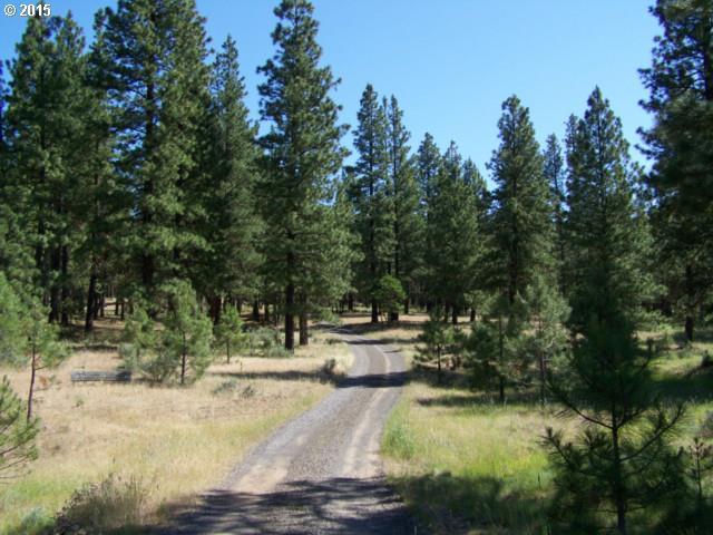 159 Box Canyon Road Goldendale, WA 98620 - Photo 5 of 16 Gallery Image 5