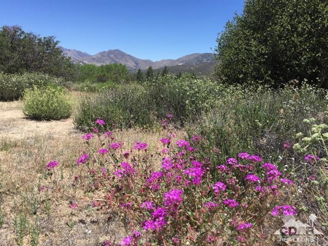 40 Hop Patch Spring Road Mountain Center, CA 92561 - Photo 1 of 9
