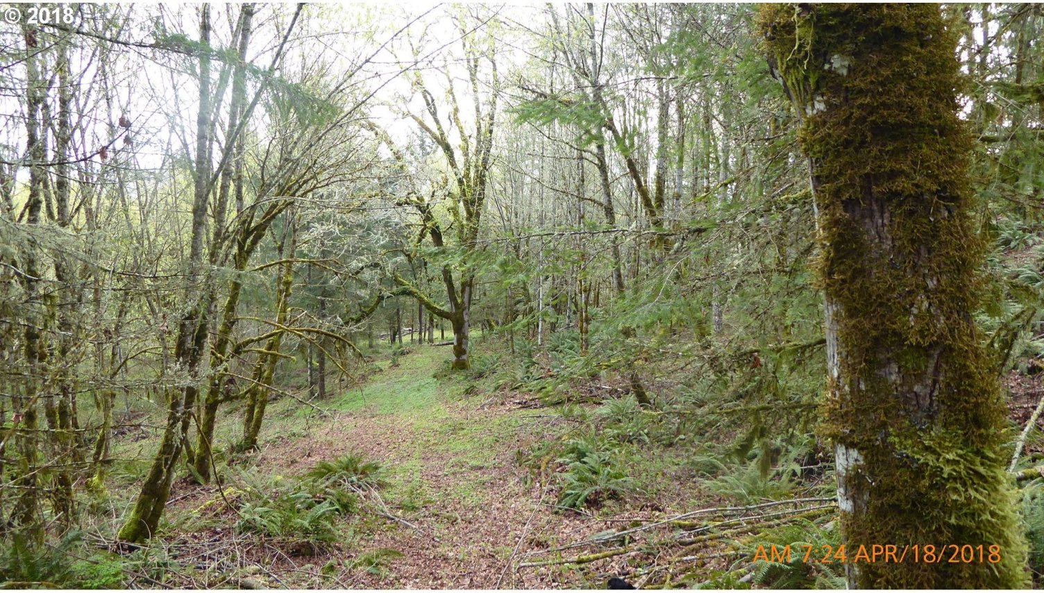 7535 Sawtell Road Sheridan, OR 97378 - Photo 27 of 32 Gallery Image 27