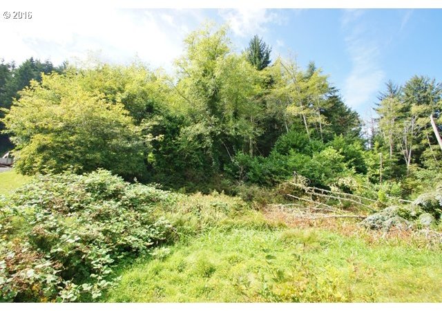 1301 Dewolf Road Nehalem, OR 97131 - Photo 3 of 4