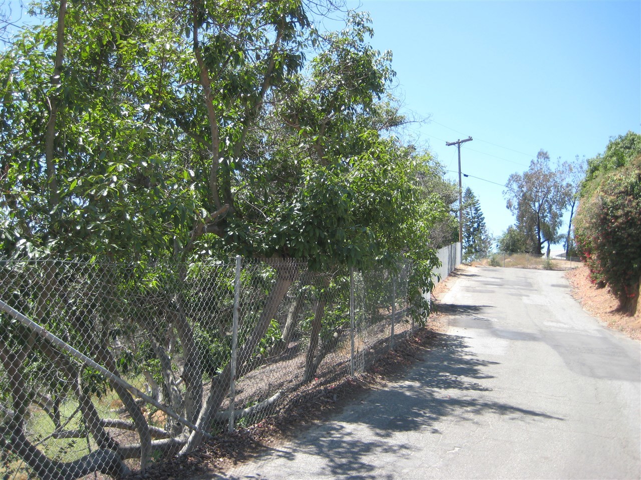 0 Rancho Amigos Road Bonsall, CA 92003 - Photo 19 of 25