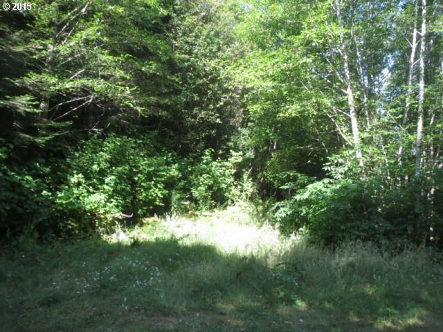 300 Mountain Road Gold Beach, OR 97444 - Photo 6 of 8 Gallery Image 6