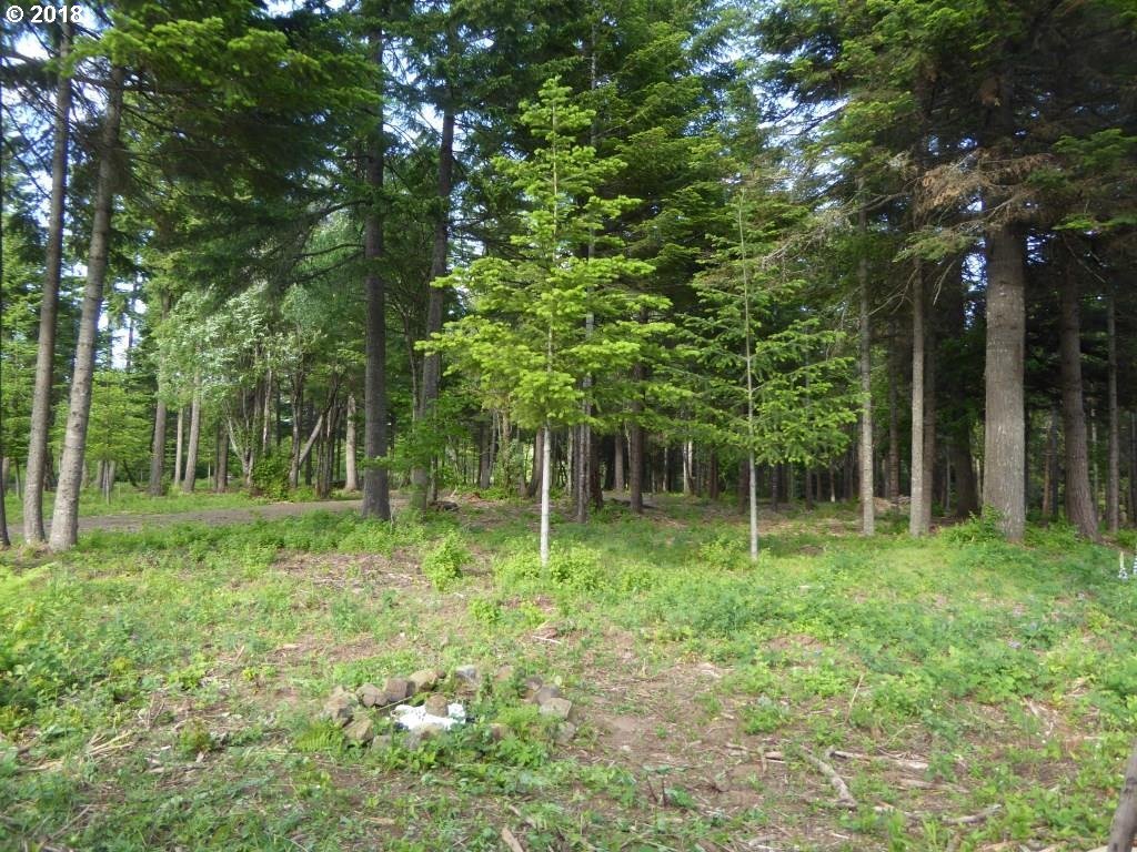 Bristol Road White Salmon, WA 98672 - Photo 11 of 21