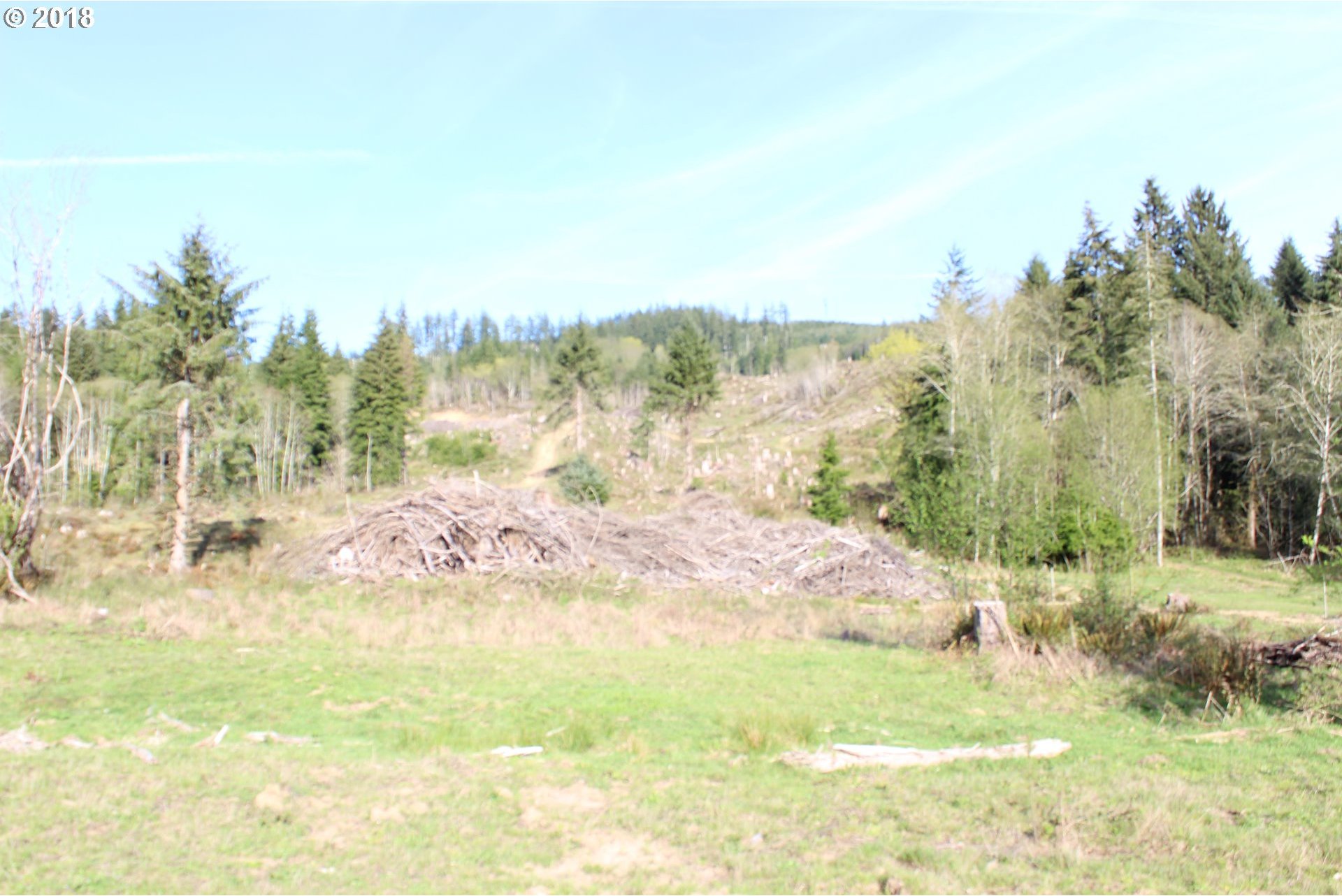 Elochoman Valley Cathlamet, WA 98612 - Photo 6 of 26