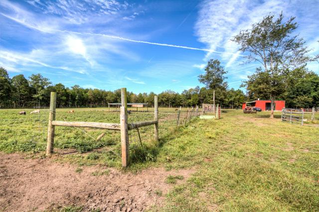 5155 Reynolds Road Columbia, TN 38401 - Photo 8 of 10