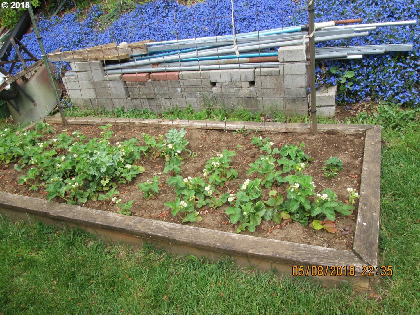 91 Juniper Road Carson, WA 98610 - Photo 9 of 14 Gallery Image 9