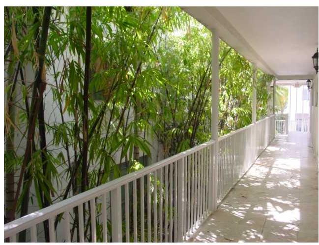 751 Collins Avenue, Unit 203 Miami Beach, FL 33139 - Photo 4 of 7