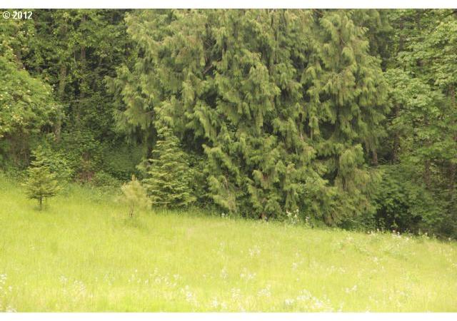 0 Southwest Conzelmann Road Sherwood, OR 97140 - Photo 7 of 15 Gallery Image 7