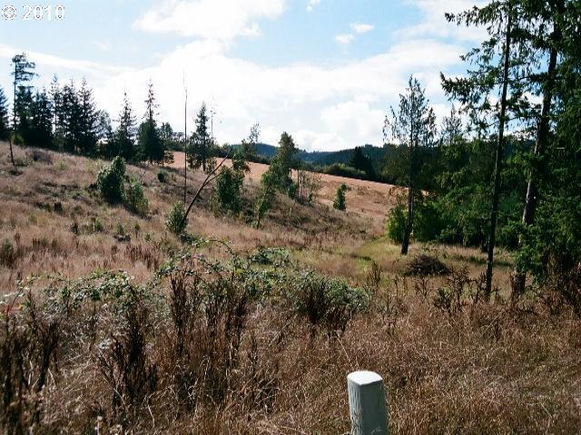 32680 Southwest Laurelview Road, Unit 904 Hillsboro, OR 97123 - Photo 8 of 12