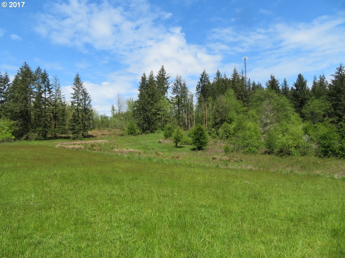 South Military Road Winlock, WA 98596 - Photo 7 of 26