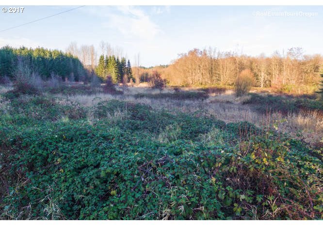 0 Southwest Patton Valley Road, Unit 300 Gaston, OR 97119 - Photo 6 of 14