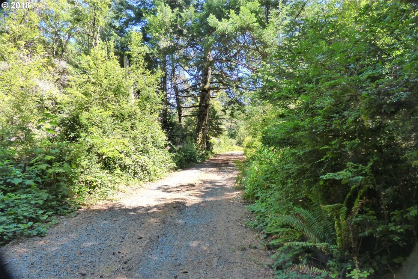 54380 Rosa Road Bandon, OR 97411 - Photo 2 of 25 Gallery Image 2