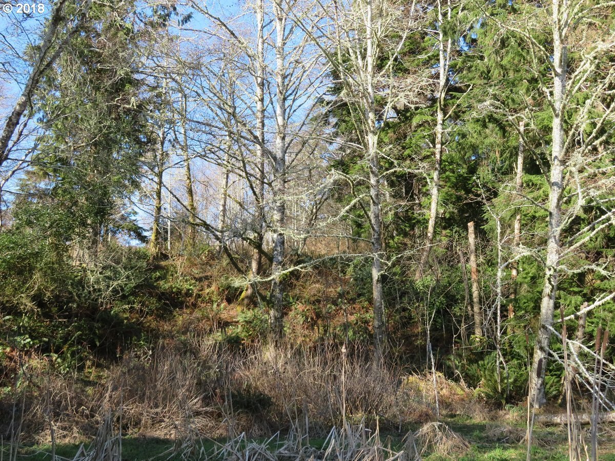 Ranta Rd Bend South Bend, WA 98586 - Photo 15 of 32 Gallery Image 15