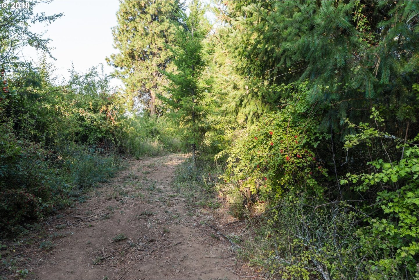 1740 Markham Road Hood River, OR 97031 - Photo 10 of 25 Gallery Image 10