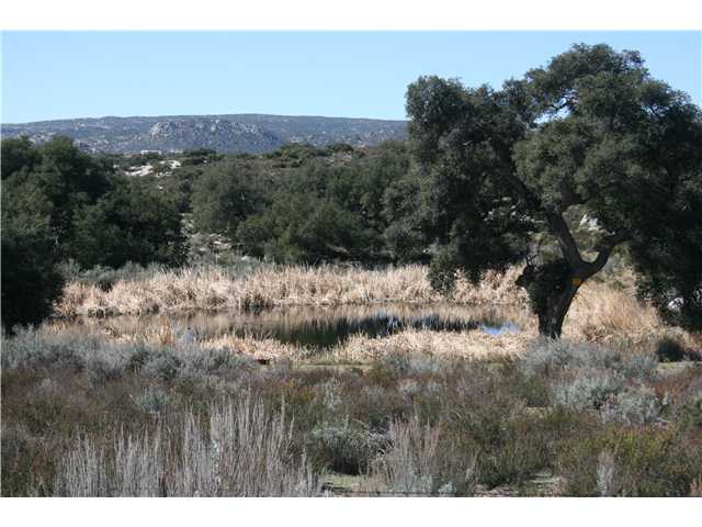 1973 Campo Truck Trail Campo, CA 91906 - Photo 12 of 15