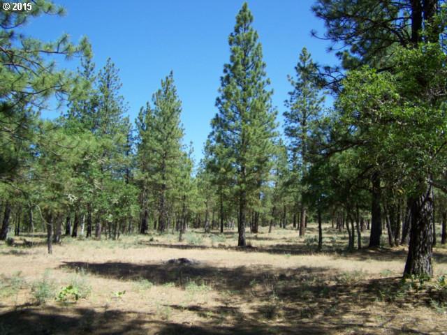 159 Box Canyon Road Goldendale, WA 98620 - Photo 15 of 16 Gallery Image 15