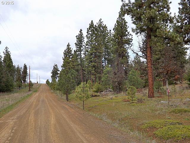 Turkey Run Road Goldendale, WA 98620 - Photo 9 of 12 Gallery Image 9