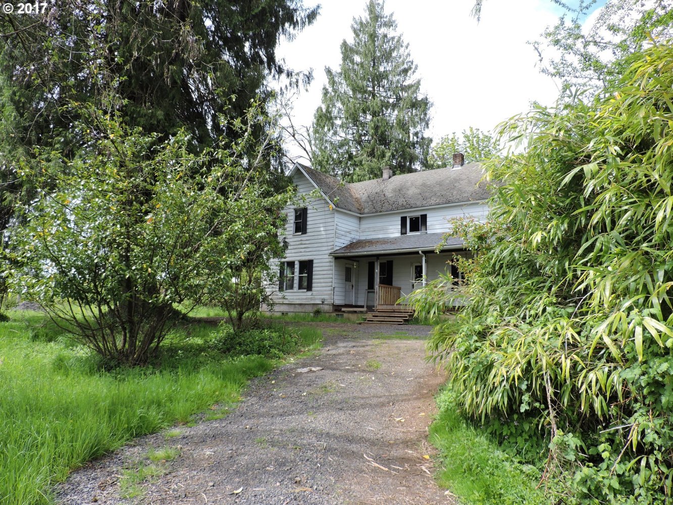 57885 Northwest Strassel Road Forest Grove, OR 97116 - Photo 11 of 27 Gallery Image 11