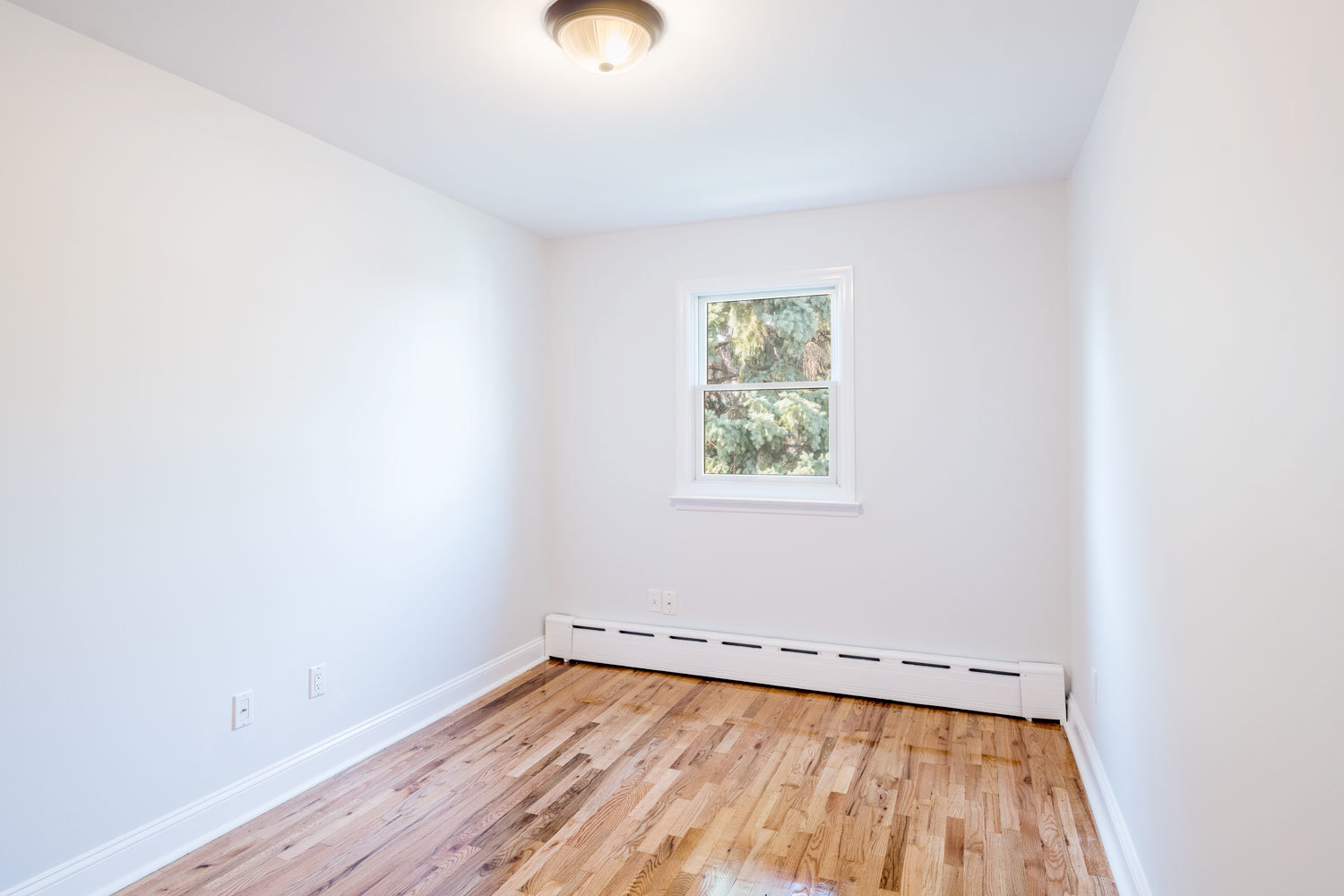 76-23 58th Road, Unit 3 Queens, NY 11379 - Photo 8 of 11