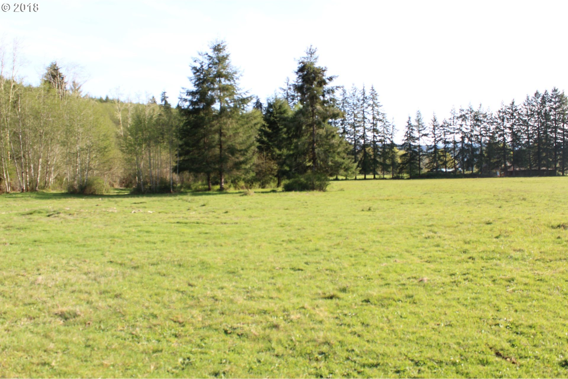 Elochoman Valley Cathlamet, WA 98612 - Photo 5 of 26