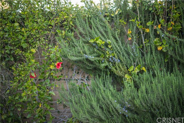 26984 Timberline Terrace Valencia, CA 91381 - Photo 46 of 52