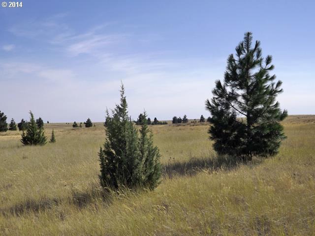 Dot Road Roosevelt, WA 99356 - Photo 5 of 10 Gallery Image 5