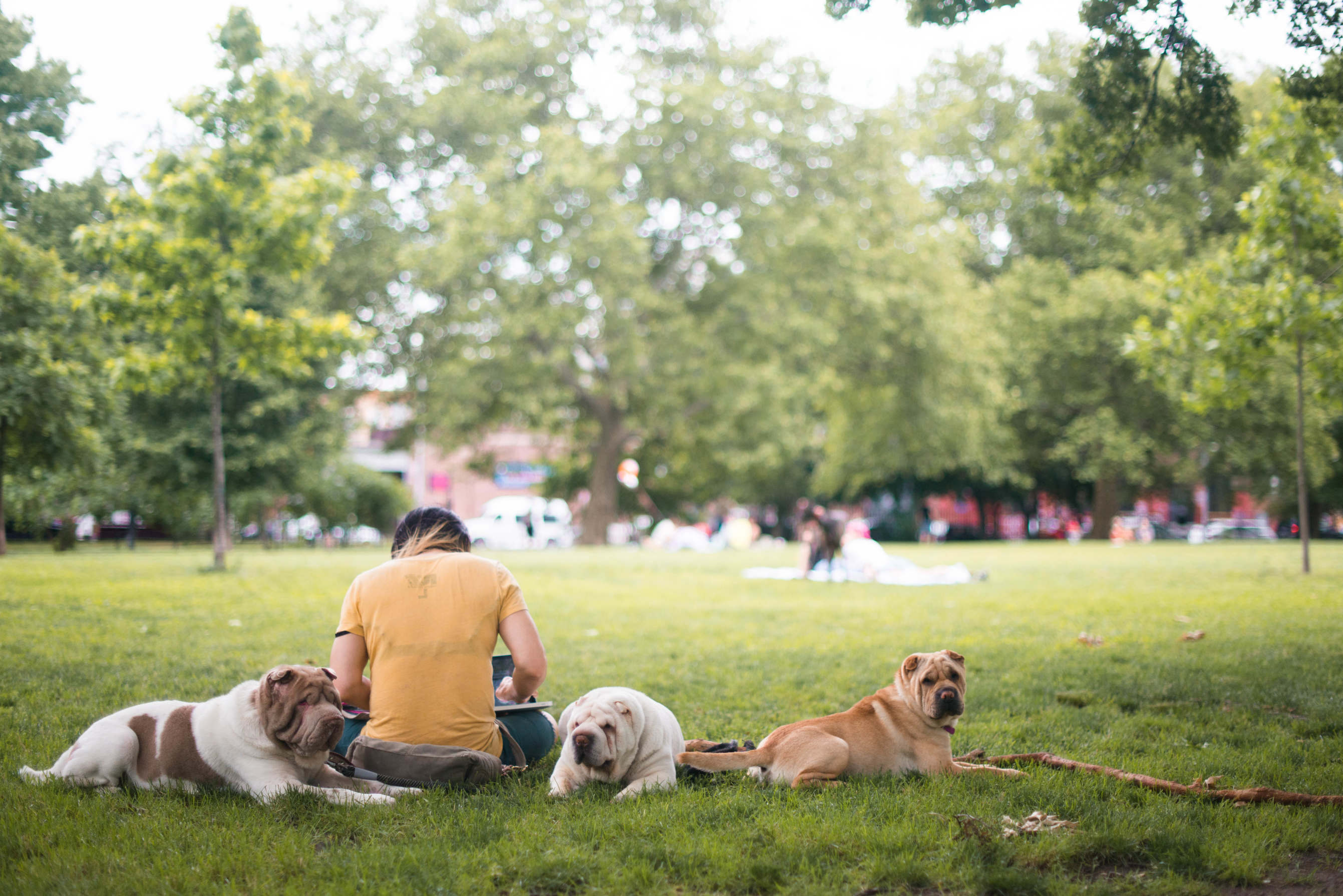 226 South 2nd Street, Unit 2 Brooklyn, NY 11211 - Photo 17 of 18