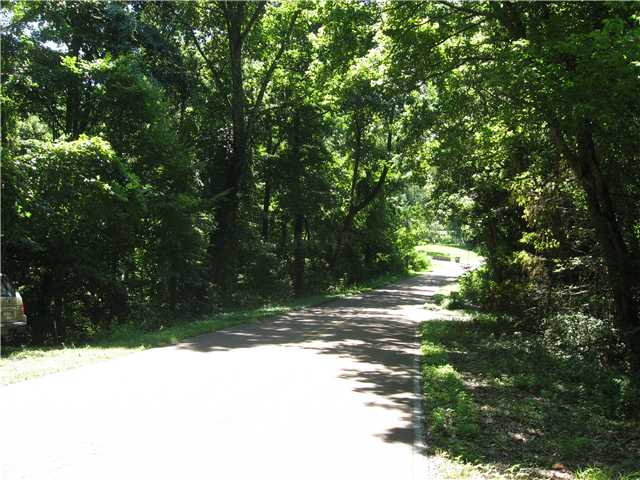 801 Fite Road Memphis, TN 38127 - Photo 5 of 5 View looking westward (right of drive) of Fite Road. Drive just to the left is the MT. Vernon ME Church.