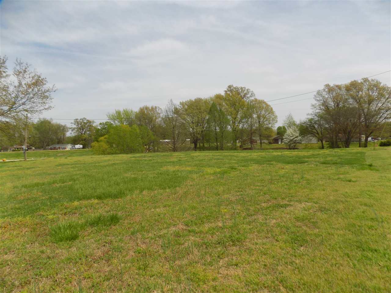 0 Richardson Landing Road Drummonds, TN 38023 - Photo 4 of 9