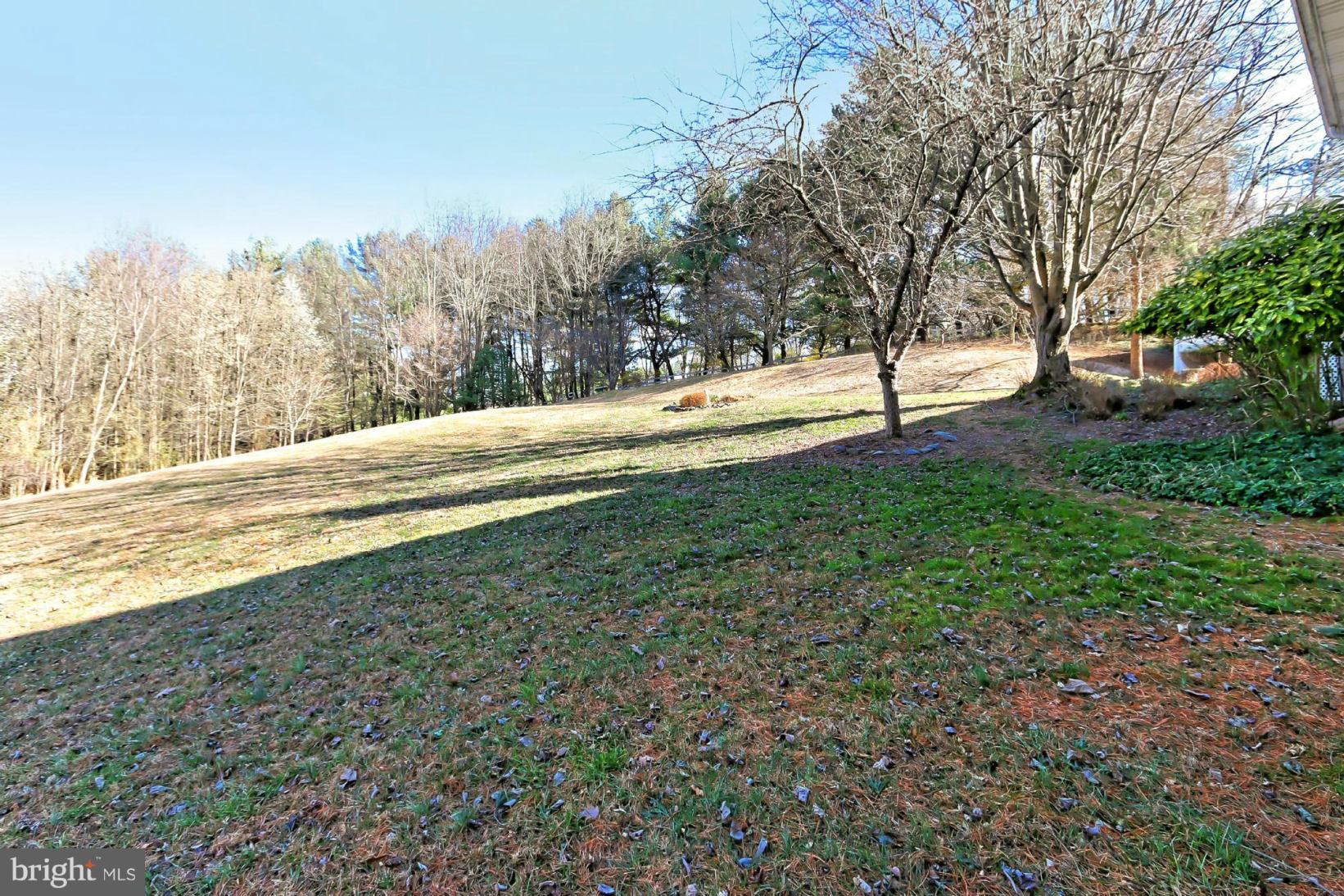 499 St Ives Road Great Falls, VA 22066 - Photo 28 of 30 Gallery Image 28