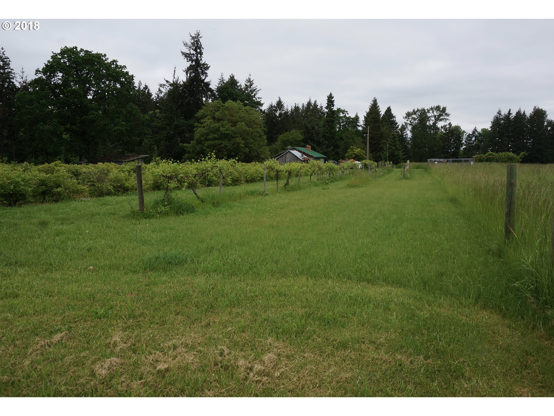 34265 South Needy Road Woodburn, OR 97071 - Photo 22 of 26