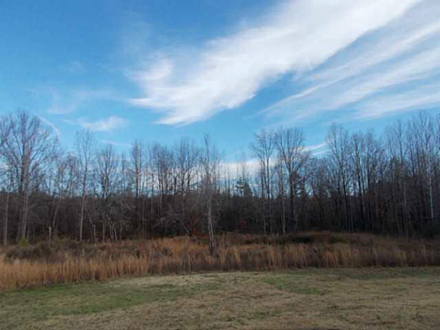 355 King Road Selmer, TN 38375 - Photo 8 of 19 View of pond