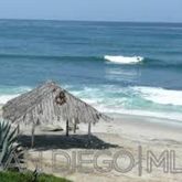 $2,450,000 | 305-309.5 Bonair Street, La Jolla, CA 92037