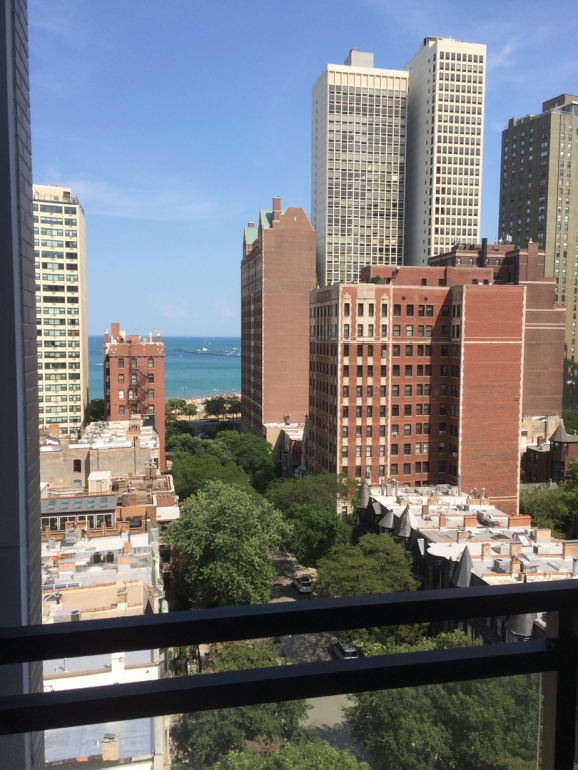 30 E Elm St, Chicago, IL 60611 - Photo 17 of 17