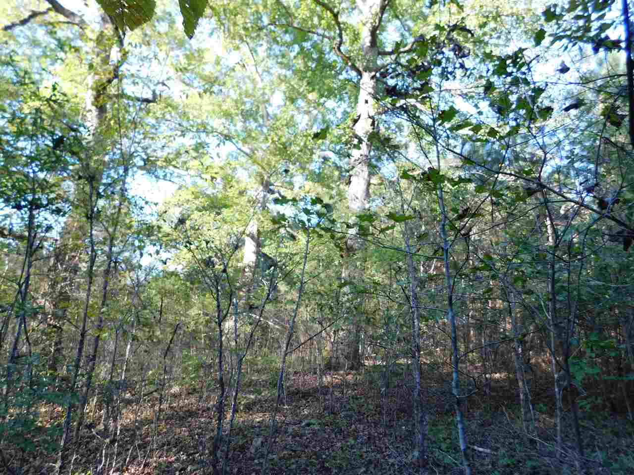 7 Caney Branch Road Adamsville, TN 38310 - Photo 2 of 17 Gallery Image 2