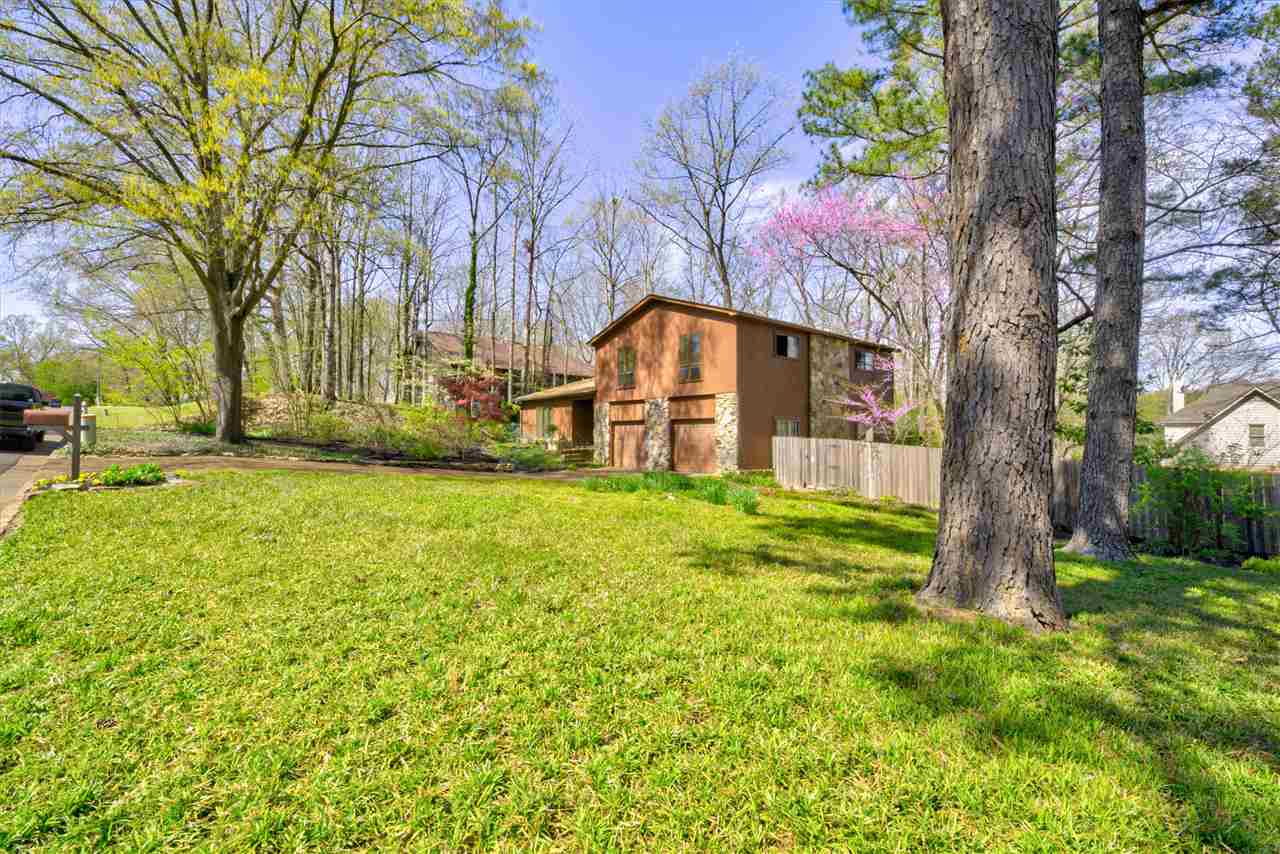 183 Ericson Road Cordova, TN 38018 - Photo 22 of 25 Gallery Image 22