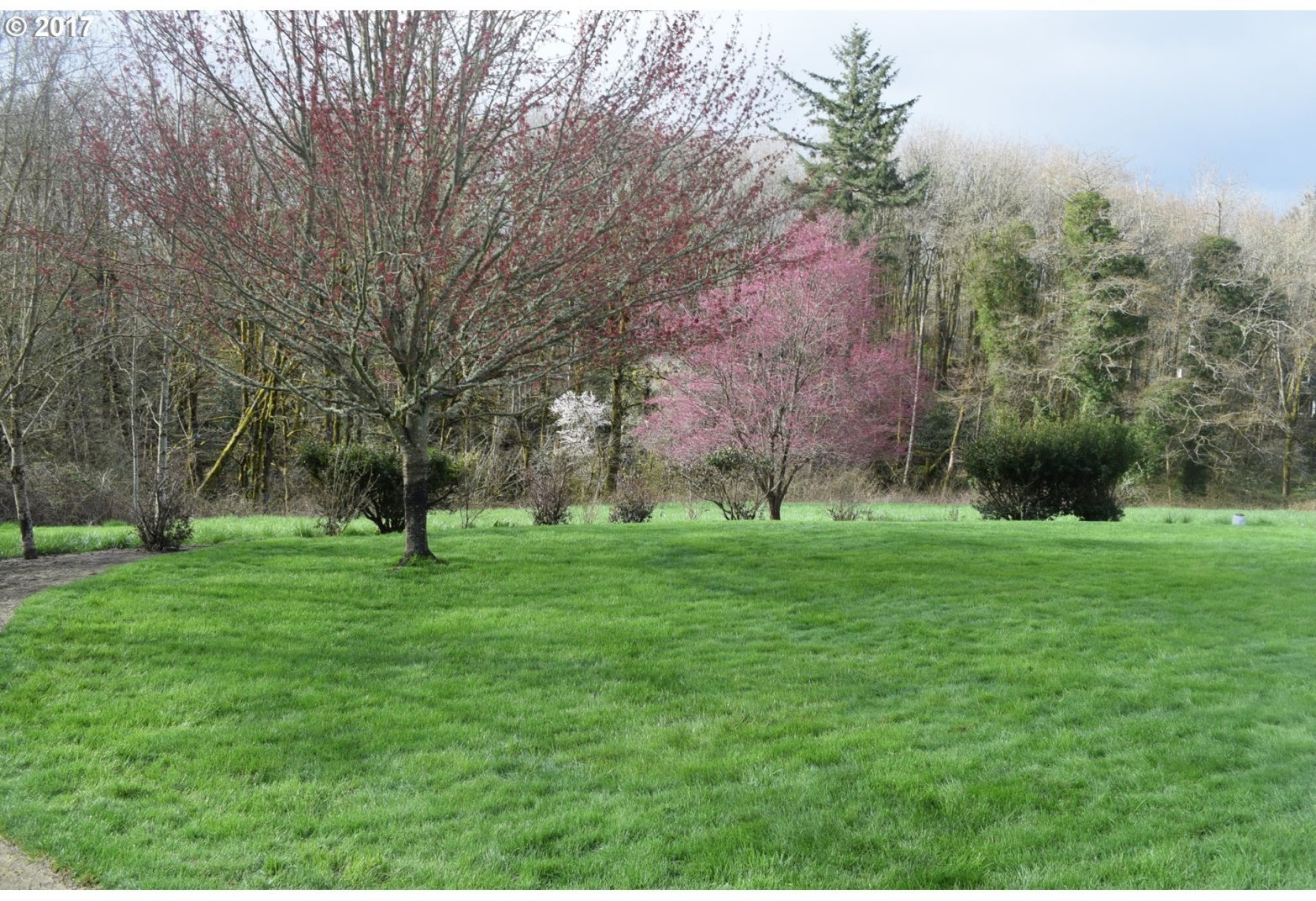 11050 Northwest Laidlaw Road Portland, OR 97229 - Photo 6 of 27 Gallery Image 6