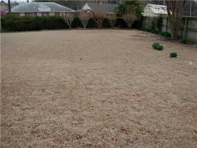 1574 Wilbec Road Memphis, TN 38117 - Photo 24 of 24 Huge, fenced backyard