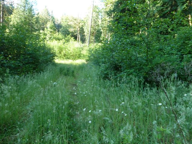 0 Southeast Regner Road, Unit 1 Gresham, OR 97080 - Photo 4 of 8 Gallery Image 4