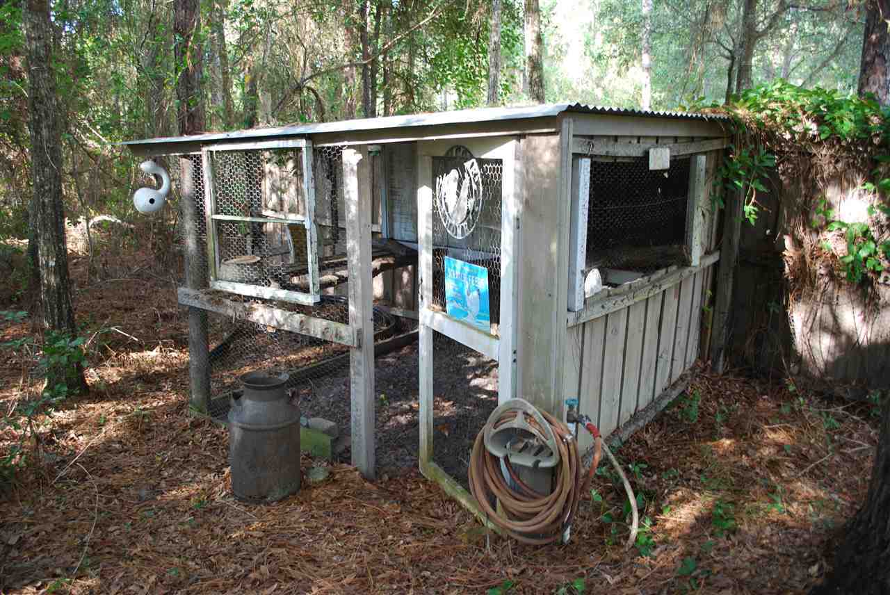 4928 Vogel Road St. Augustine, FL 32092 - Photo 17 of 47