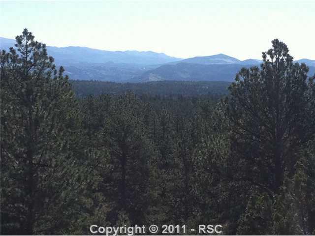 4091 Doe Valley Road Guffey, CO 80820 - Photo 3 of 15 Million Dollar Views