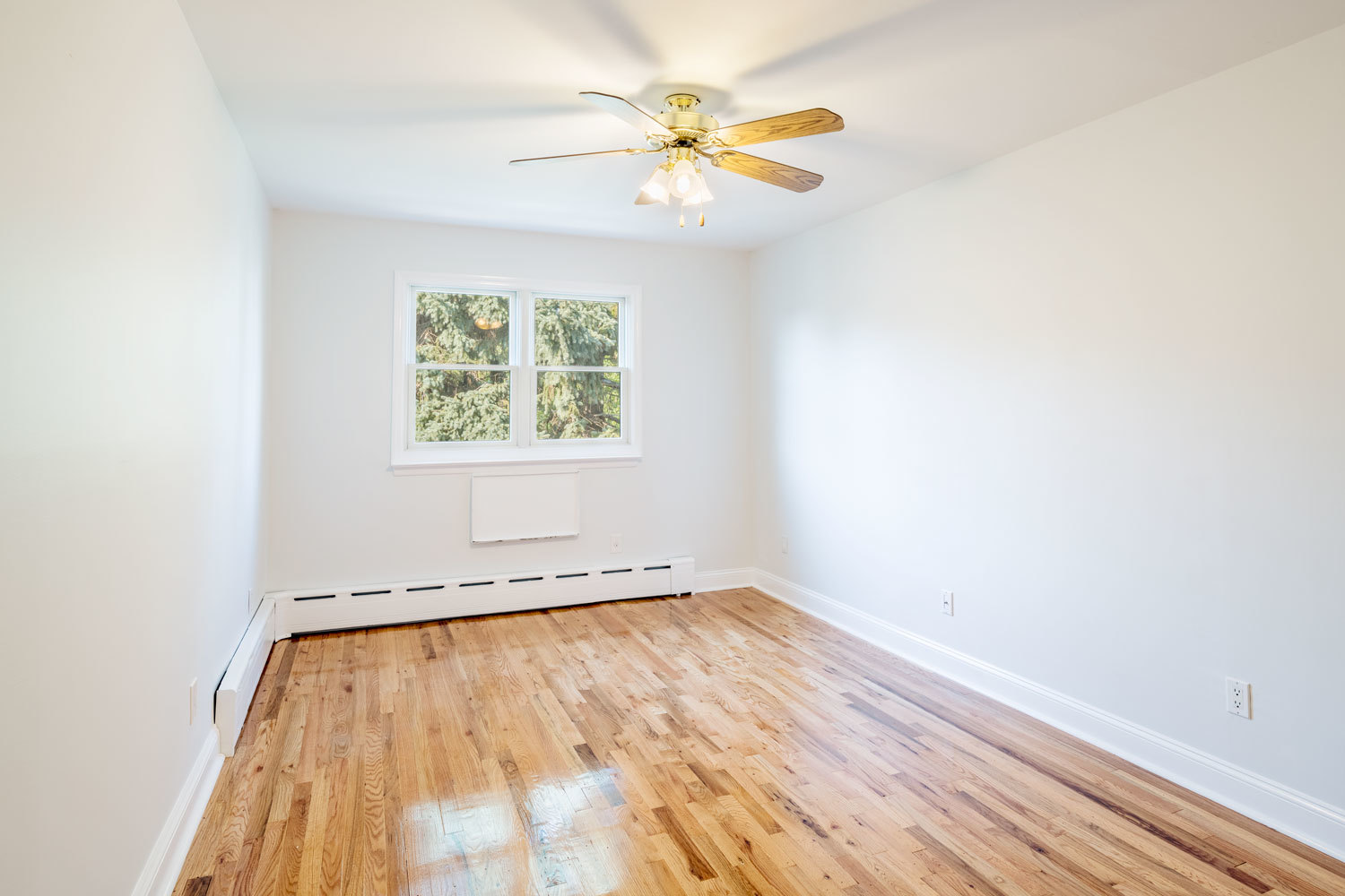 76-23 58th Road, Unit 3 Queens, NY 11379 - Photo 7 of 11