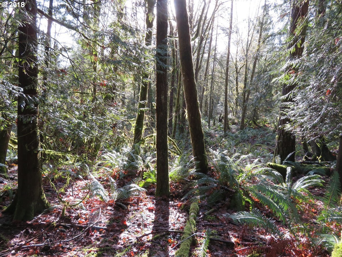 River Heights Road Centralia, WA 98531 - Photo 21 of 32 Gallery Image 21