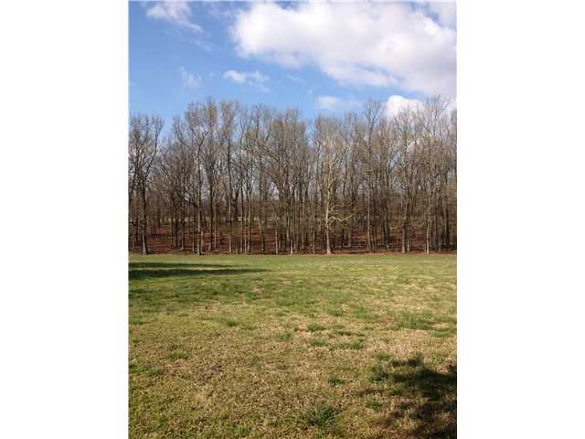 10233 Monroe Road Lakeland, TN 38002 - Photo 3 of 6 Gallery Image 3