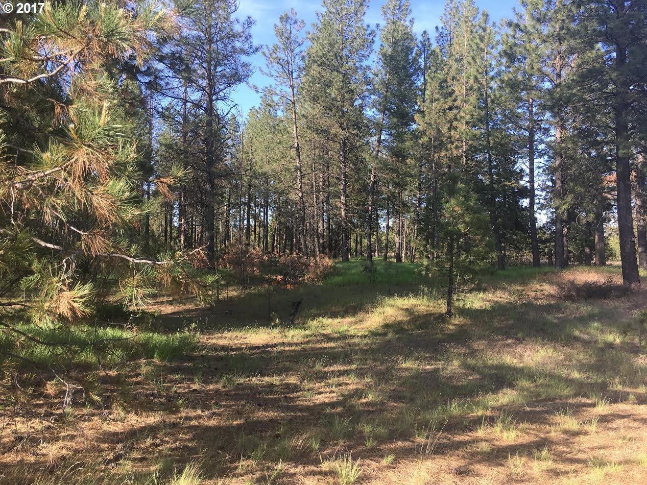 Montgomery Road Deer Park, WA 99006 - Photo 5 of 5 Gallery Image 5
